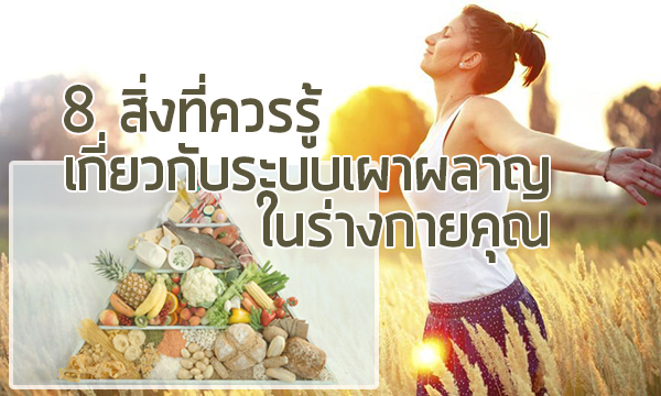 8 ข้อที่คนอยากผอมต้องรู้เกี่ยวกับระบบเผาผลาญ!