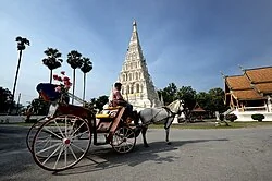 เทศบาลตำบลยางเนิ้ง